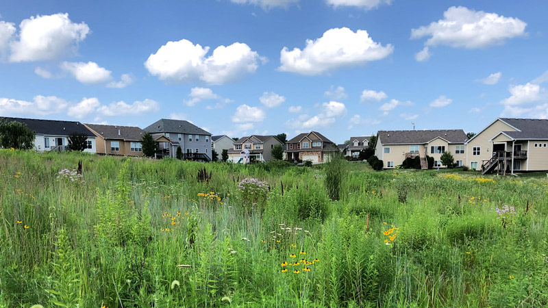 Prairie outside Glynn Village conservation community